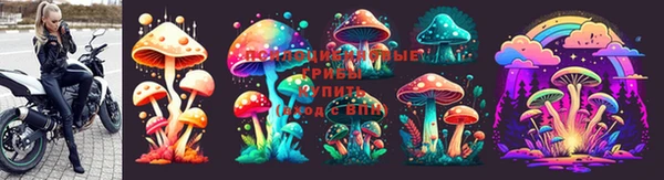 хмурый Алексин