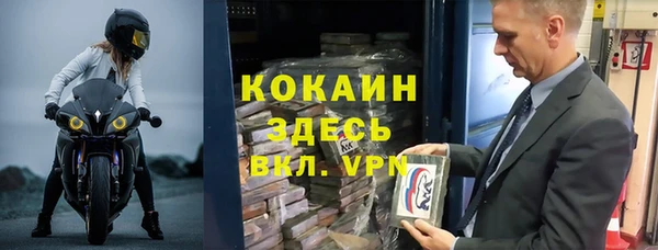 хмурый Алексин