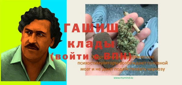 хмурый Алексин