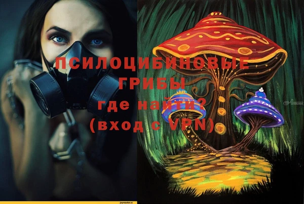 хмурый Алексин