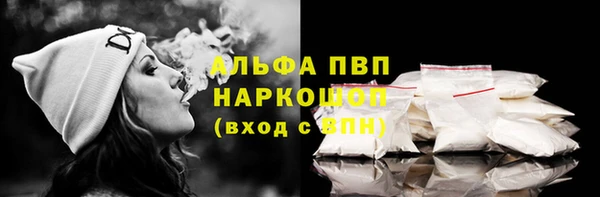 хмурый Алексин