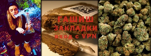 хмурый Алексин