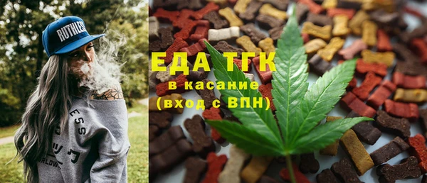 хмурый Алексин