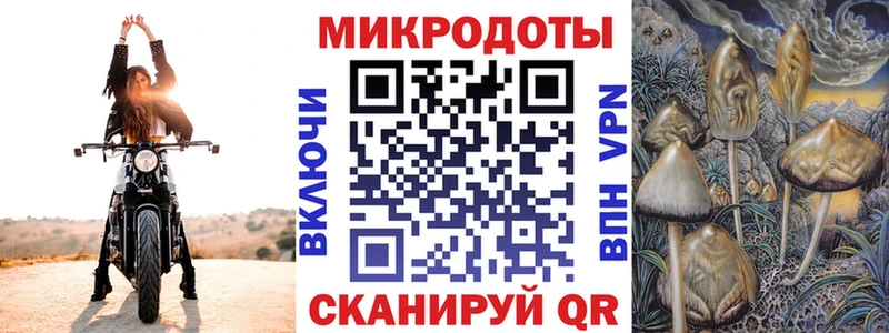 Псилоцибиновые грибы Cubensis  Ржев 